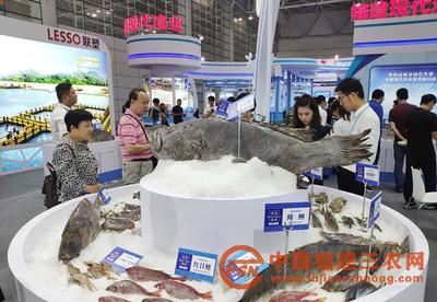 2019福州渔博会圆满举行 现场经贸配对额达5.1亿